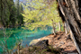 Crestasee - romantischer Badesee